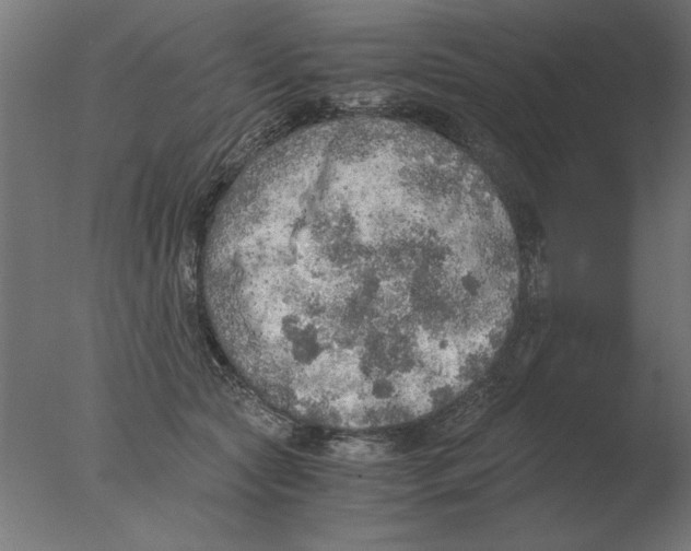 X0000076090561200610202109