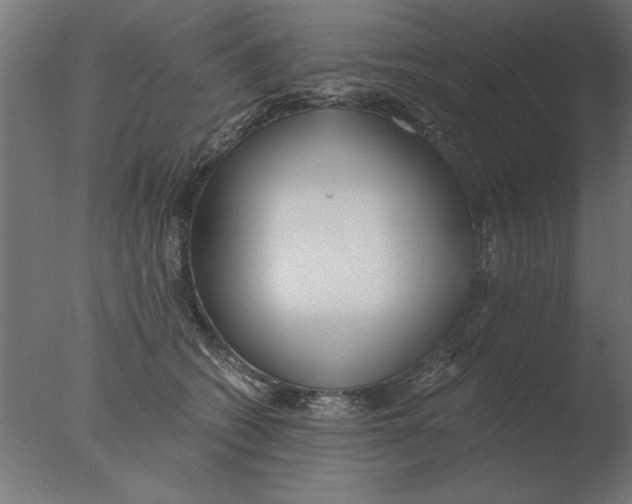 X0000076090562200610202109