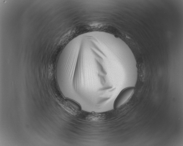 X0000076090563200610202109