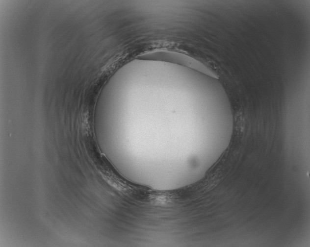 X0000076090564200610202109