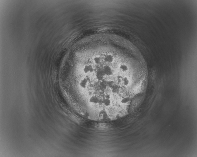 X0000076090565200610202109