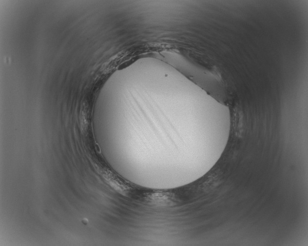 X0000076090566200610202109