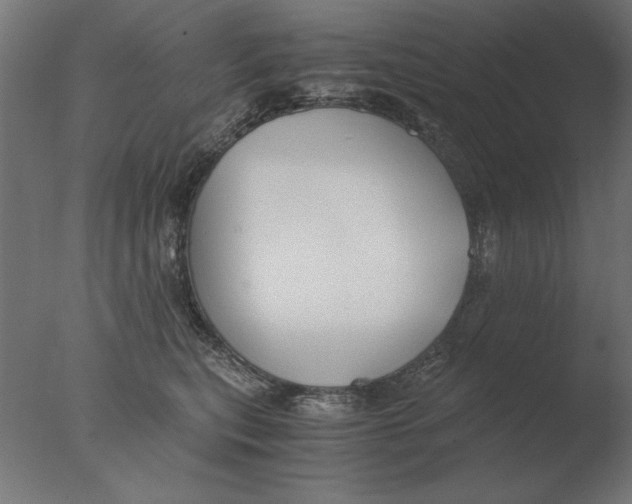 X0000076090567200610202109