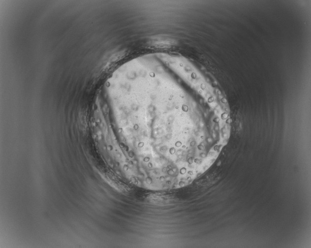 X0000076090568200610202109