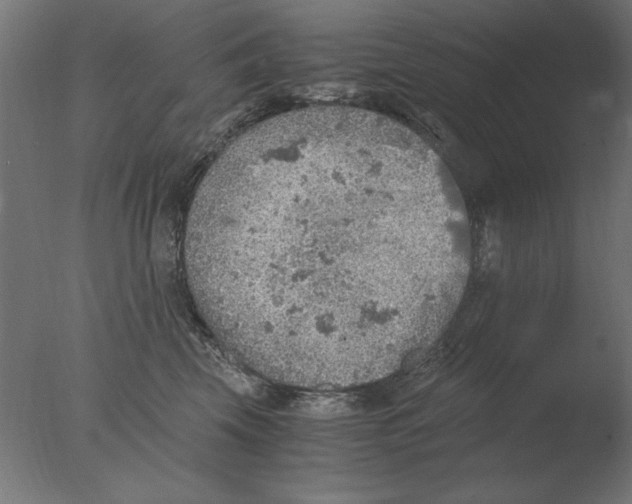 X0000076090569200610202109