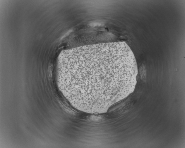 X0000076090570200610202109