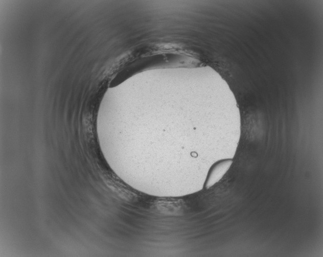 X0000076090571200610202109