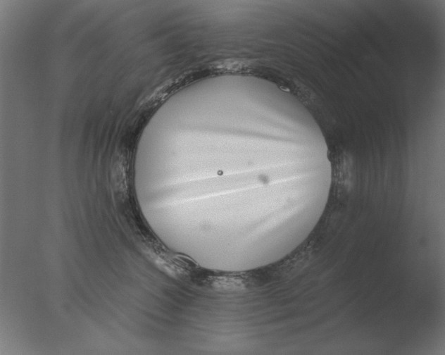 X0000076090572200610202109