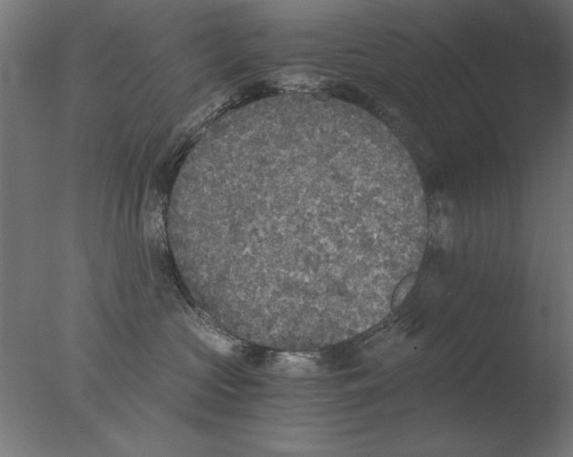 X0000076090573200610202109