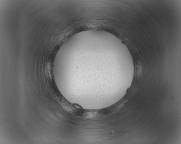 X0000076090575200610202109