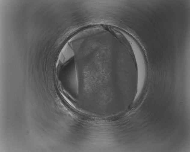 X0000076090577200610202108