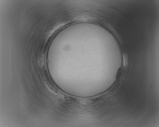 X0000076090579200610202108