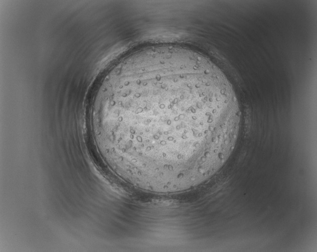 X0000076090582200610202108