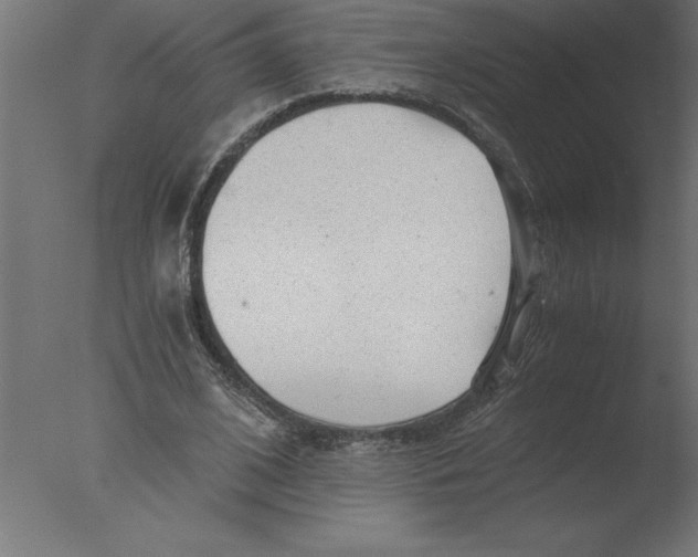 X0000076090584200610202108