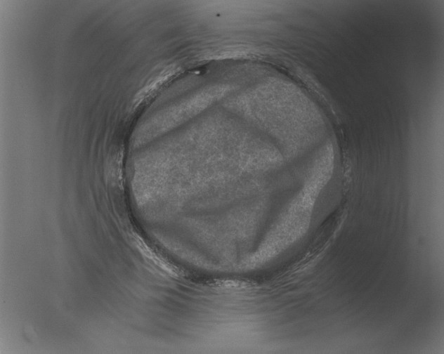 X0000076090585200610202108