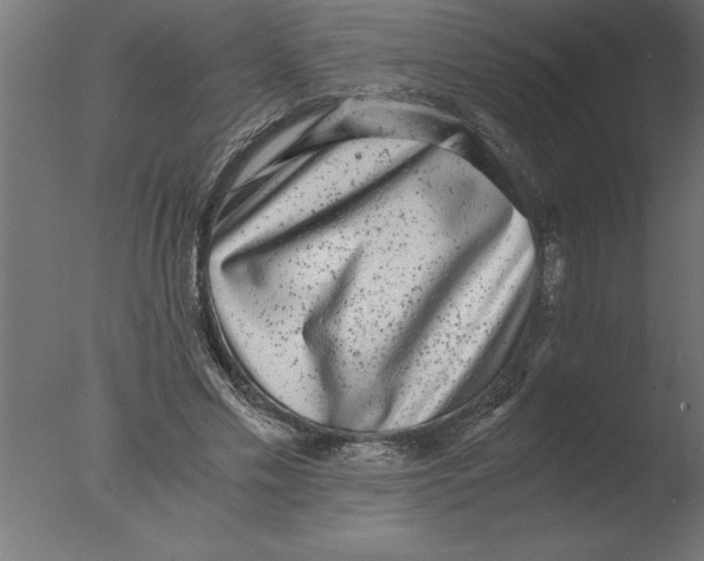 X0000076090589200610202108