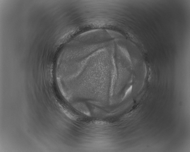 X0000076090590200610202108