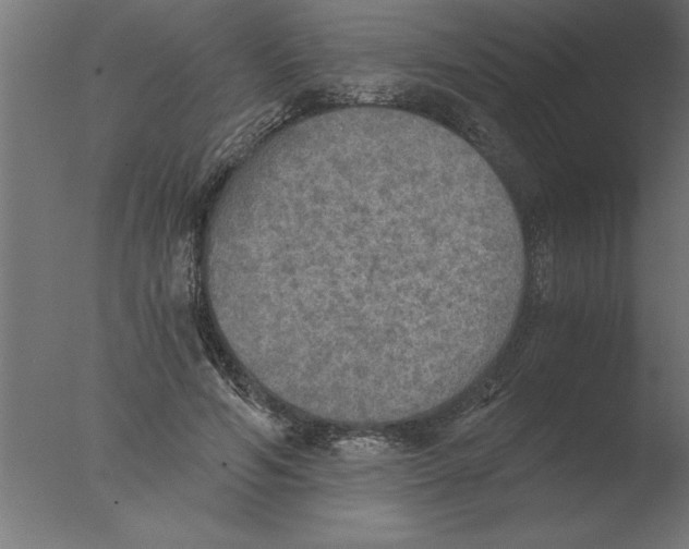 X0000076090594200610202108