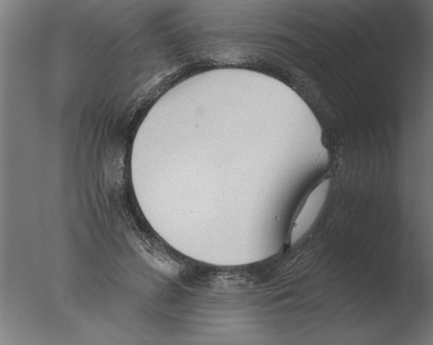 X0000076090596200610202108