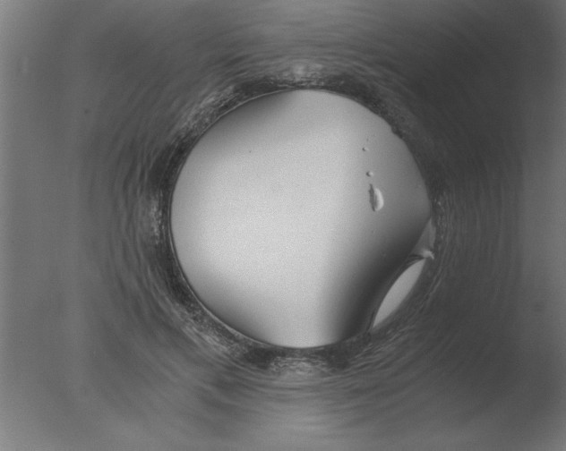 X0000076090597200610202108