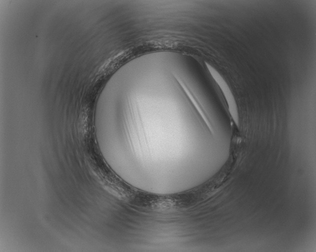 X0000076090600200610202108