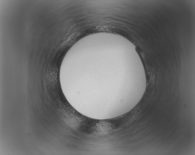 X0000076090603200610202108