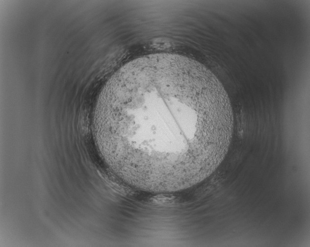 X0000076090606200610202108