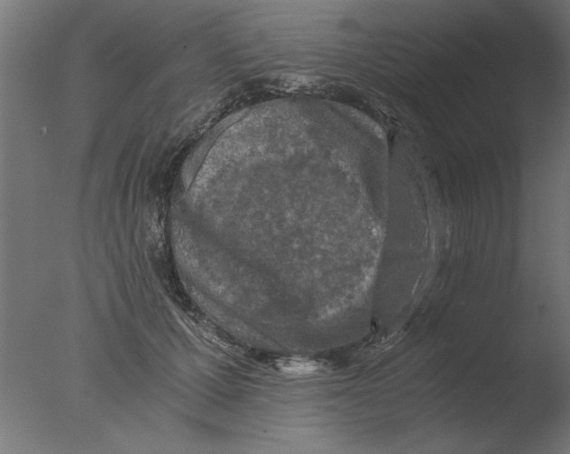 X0000076090607200610202108