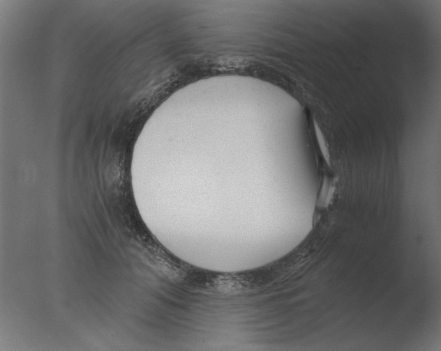 X0000076090608200610202108