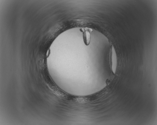 X0000076090615200610202108