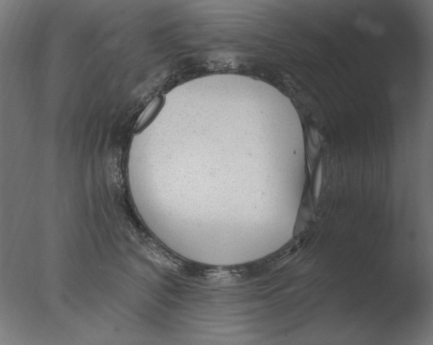 X0000076090616200610202108