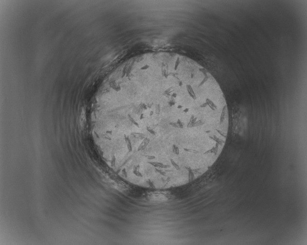 X0000076090618200610202108