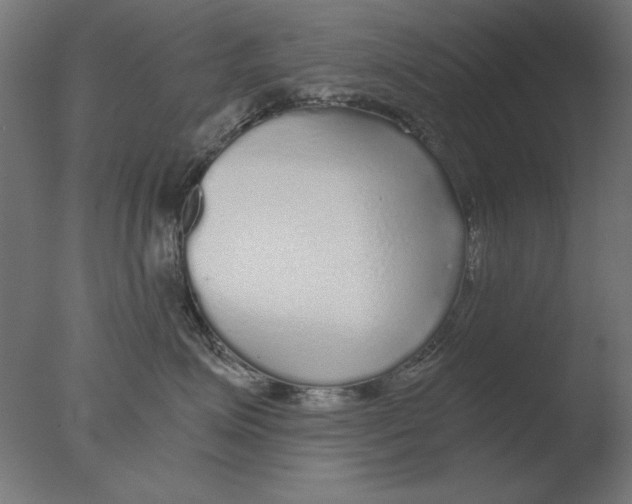 X0000076090623200610202108