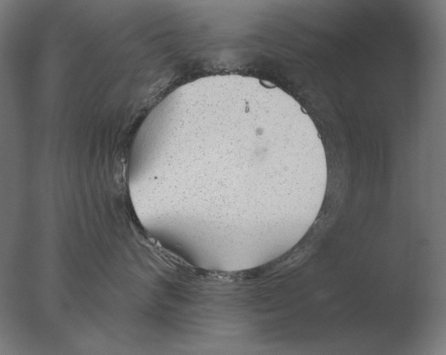 X0000076090624200610202108