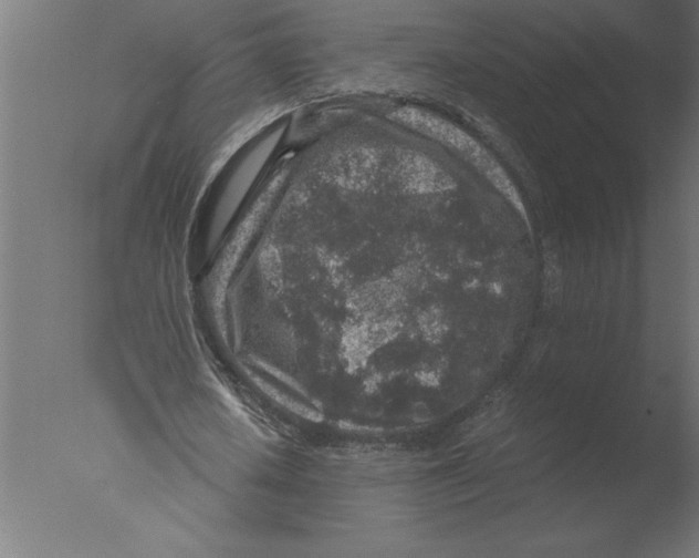 X0000076090626200610202107