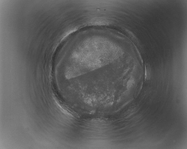 X0000076090627200610202107