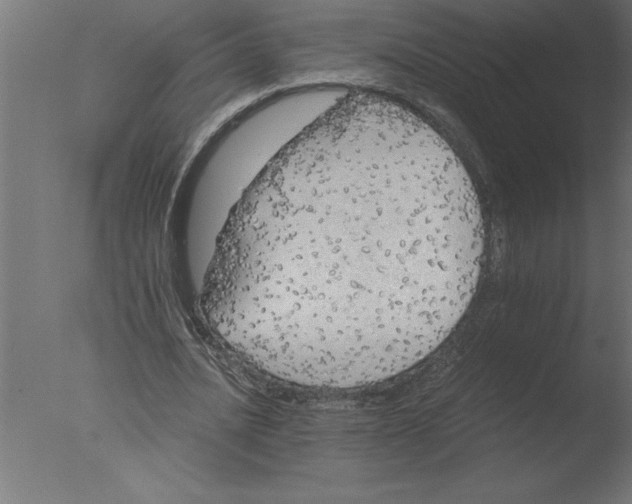 X0000076090628200610202107