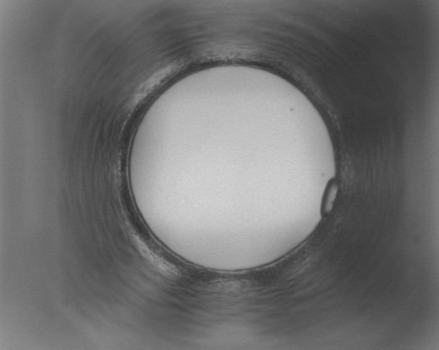 X0000076090629200610202107