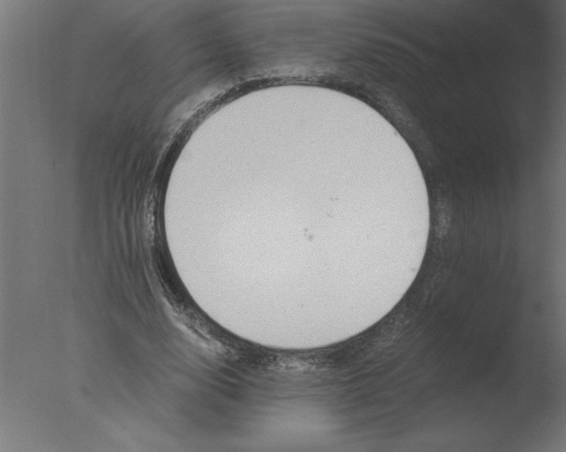 X0000076090632200610202107