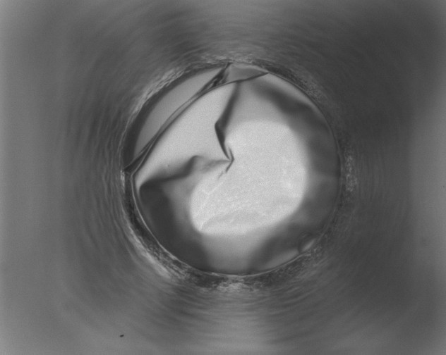 X0000076090634200610202107