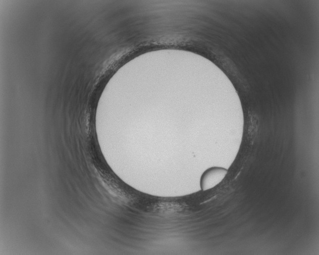 X0000076090636200610202107