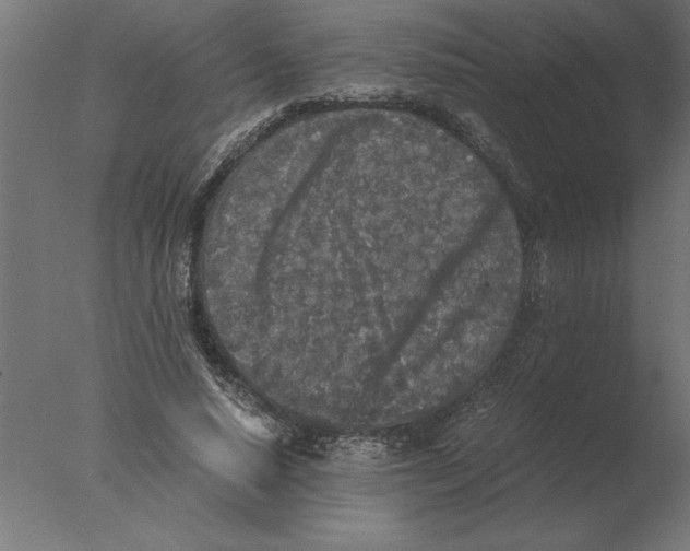 X0000076090640200610202107