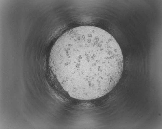 X0000076090642200610202107