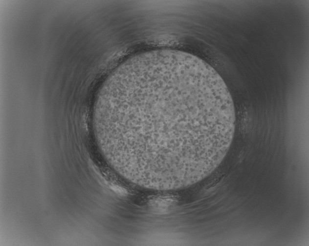 X0000076090643200610202107