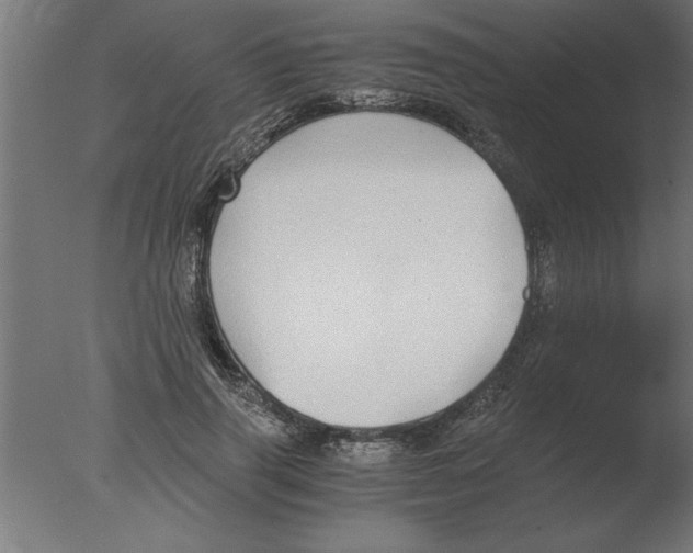 X0000076090645200610202107