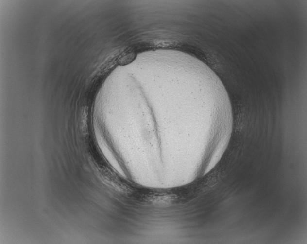 X0000076090646200610202107