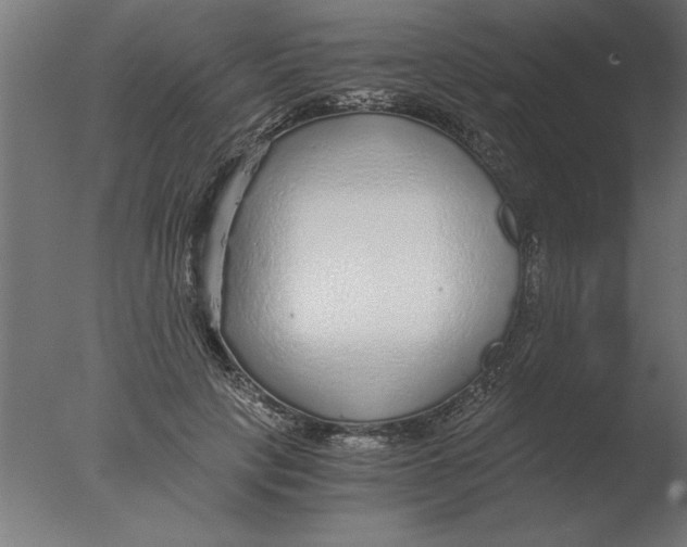 X0000076090649200610202107