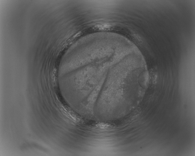 X0000076090650200610202107