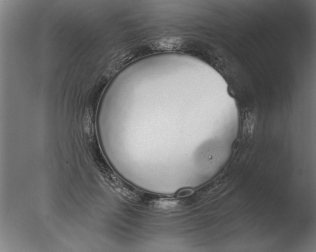 X0000076090651200610202107