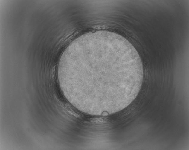 X0000076090652200610202107